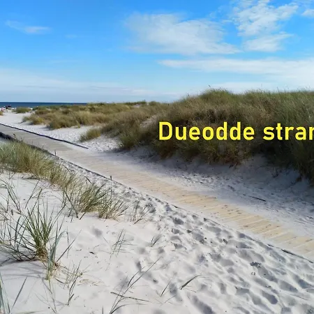 The 'loft' Apartment- 