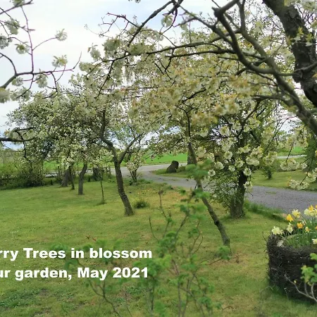 The 'loft' Apartment- 