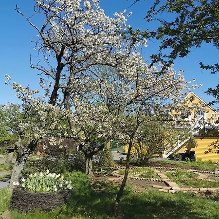 Penzion The 'loft' Apartment- 