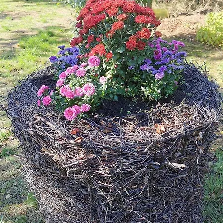 The 'loft' Apartment- 