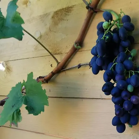 The 'loft' Apartment- 