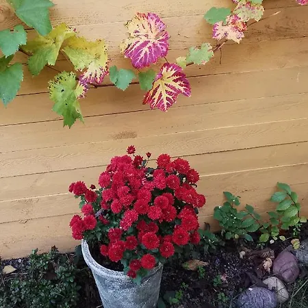 The 'loft' Apartment- 