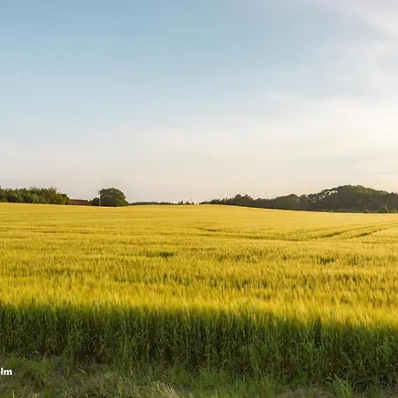 Pensjonat The 'loft' Apartment- 
