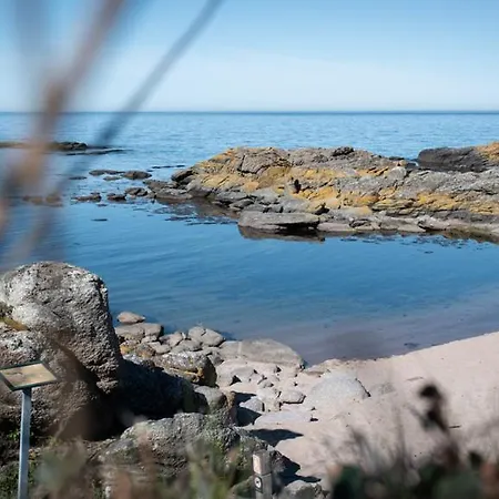 The 'loft' Apartment- 