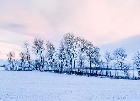 The 'loft' Apartment- 