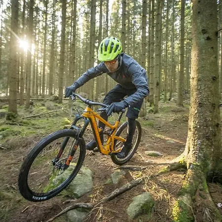 The 'loft' Apartment- 