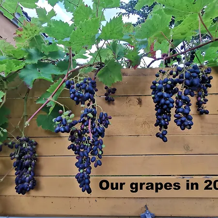 The 'loft' Apartment- 