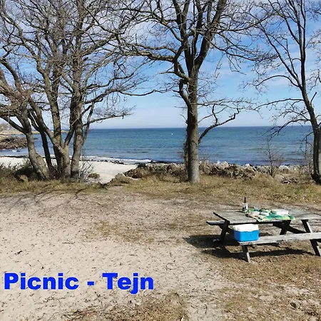 The 'loft' Apartment- 