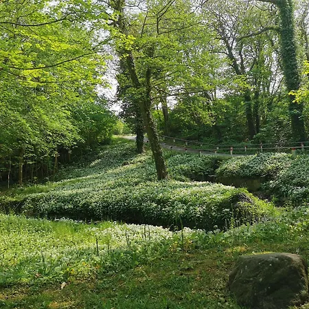 The 'loft' Apartment- 