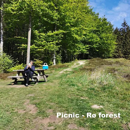 The 'loft' Apartment- 